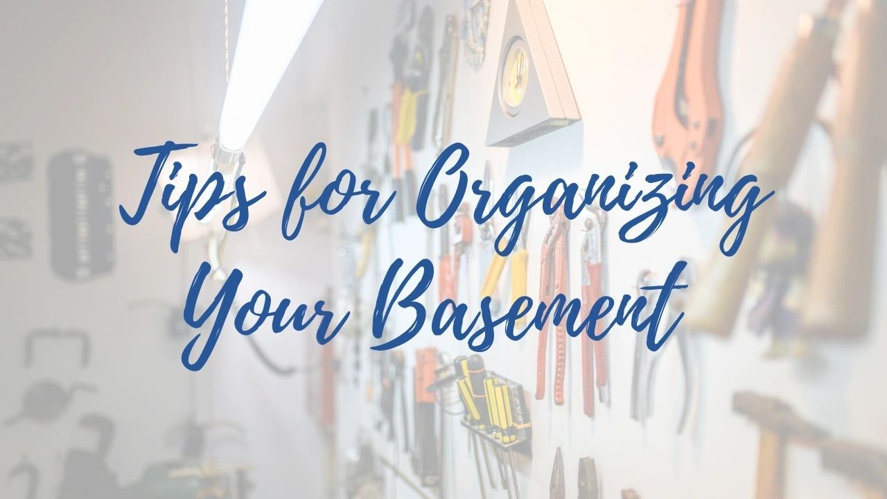 Organizing Your Basement