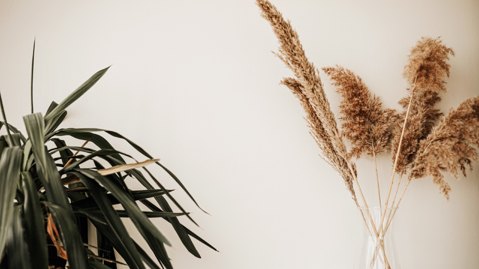 Pampas grass decor ideas