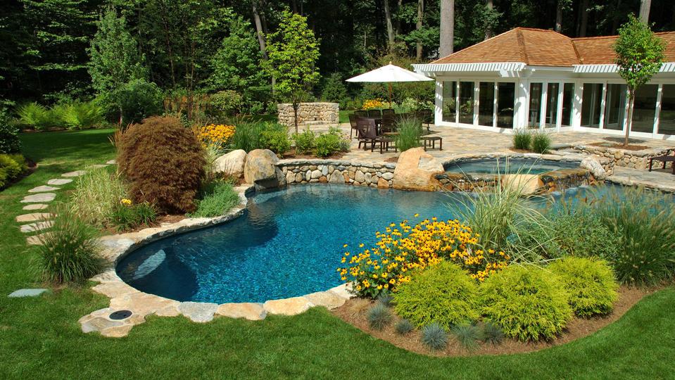 best plants for the pool